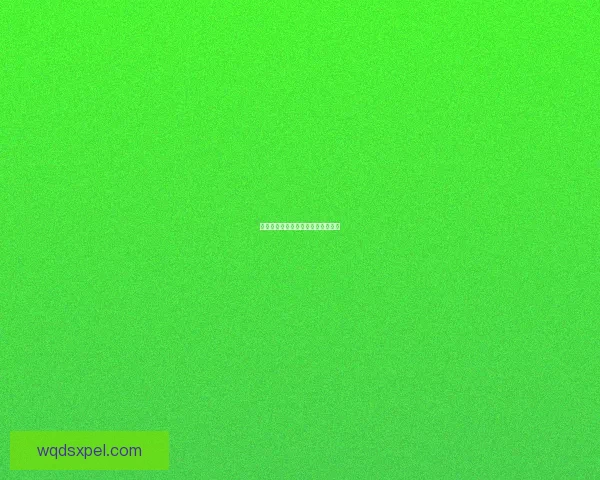 孤胆枪手的传奇岁月与风流往事揭秘