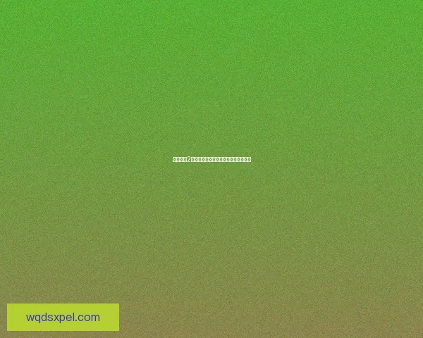 双星物语2加强版修改器全面解析与使用技巧详解